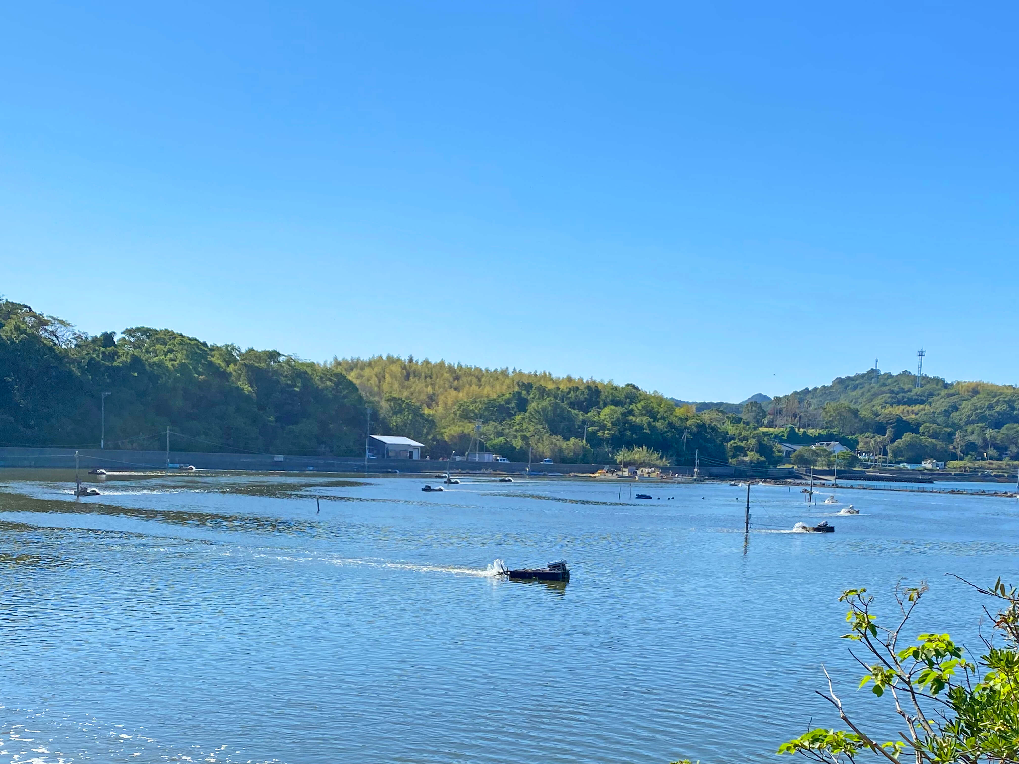 沿岸漁類開発株式会社TOP